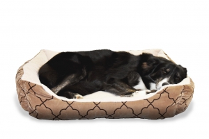 Image by Mira Gane from Pixabay of a Dog relaxing in a cozy bed