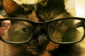 Professor PIzzicato celebrates April 1st