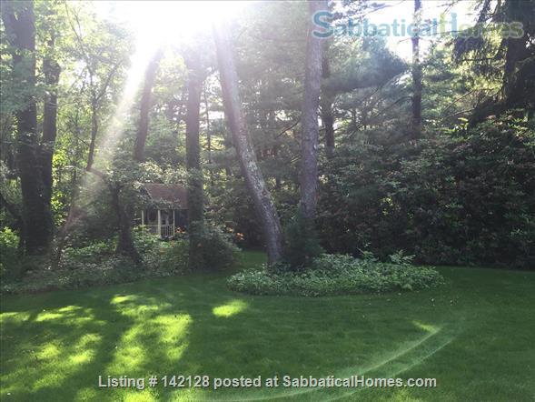 abbaticalHomes Listing 142128. Spacious backyard, home rental in Princeton, New Jersey.
