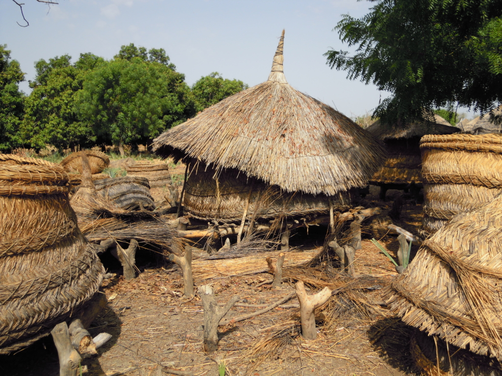 Huts in the village in Chad Africa where Dr. Florian Lionnet works to preserve the language of Laal.