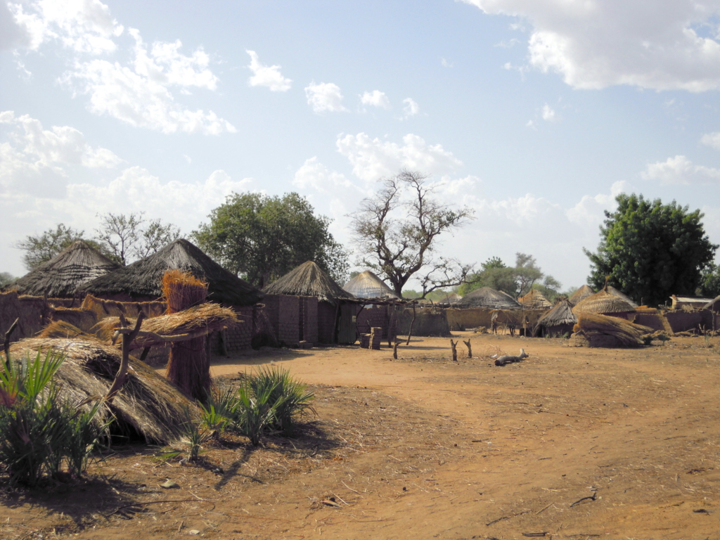 A view of the village in Chad where Dr. Lionnet researches the endangered language of Laal.