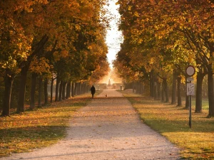 quiet Parisian arrondissement for thesis writing - What are the quietest arrondissements in Paris for writing a thesis; Photo by Michael Pointner