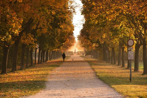 quiet Parisian arrondissement for thesis writing - What are the quietest arrondissements in Paris for writing a thesis; Photo by Michael Pointner