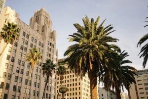 USC off campus housing near University Park Los Angeles; Photo by Darya Sannikova